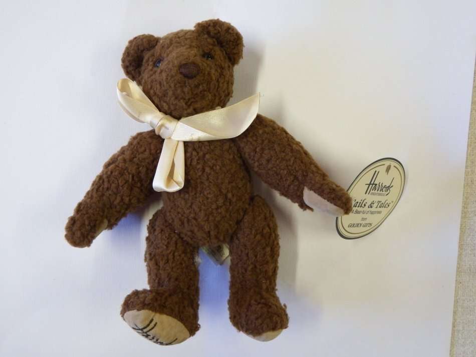 Tails & hot sale tales teddy bear